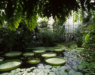 botanics